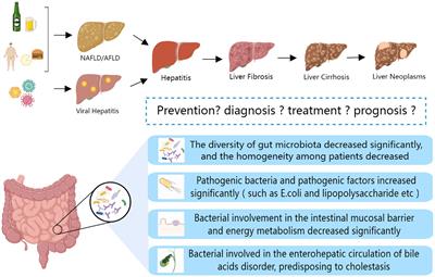 The gut microbiota: A new perspective for tertiary prevention of hepatobiliary and gallbladder diseases